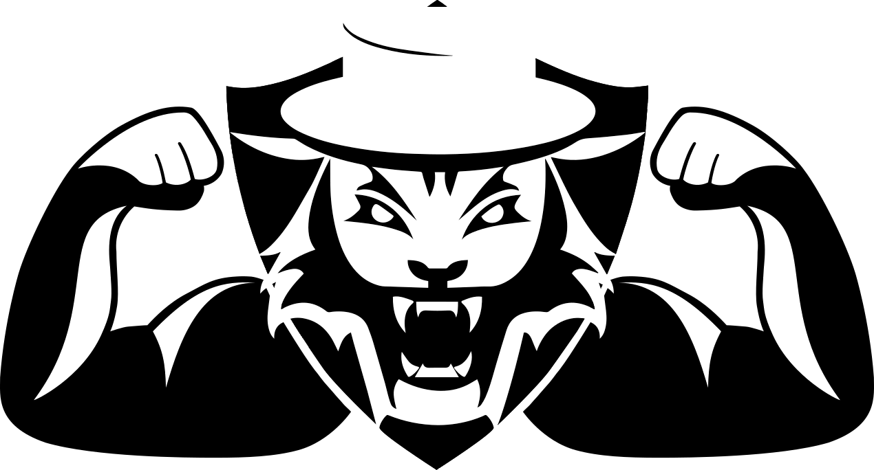 Descriptive alt text